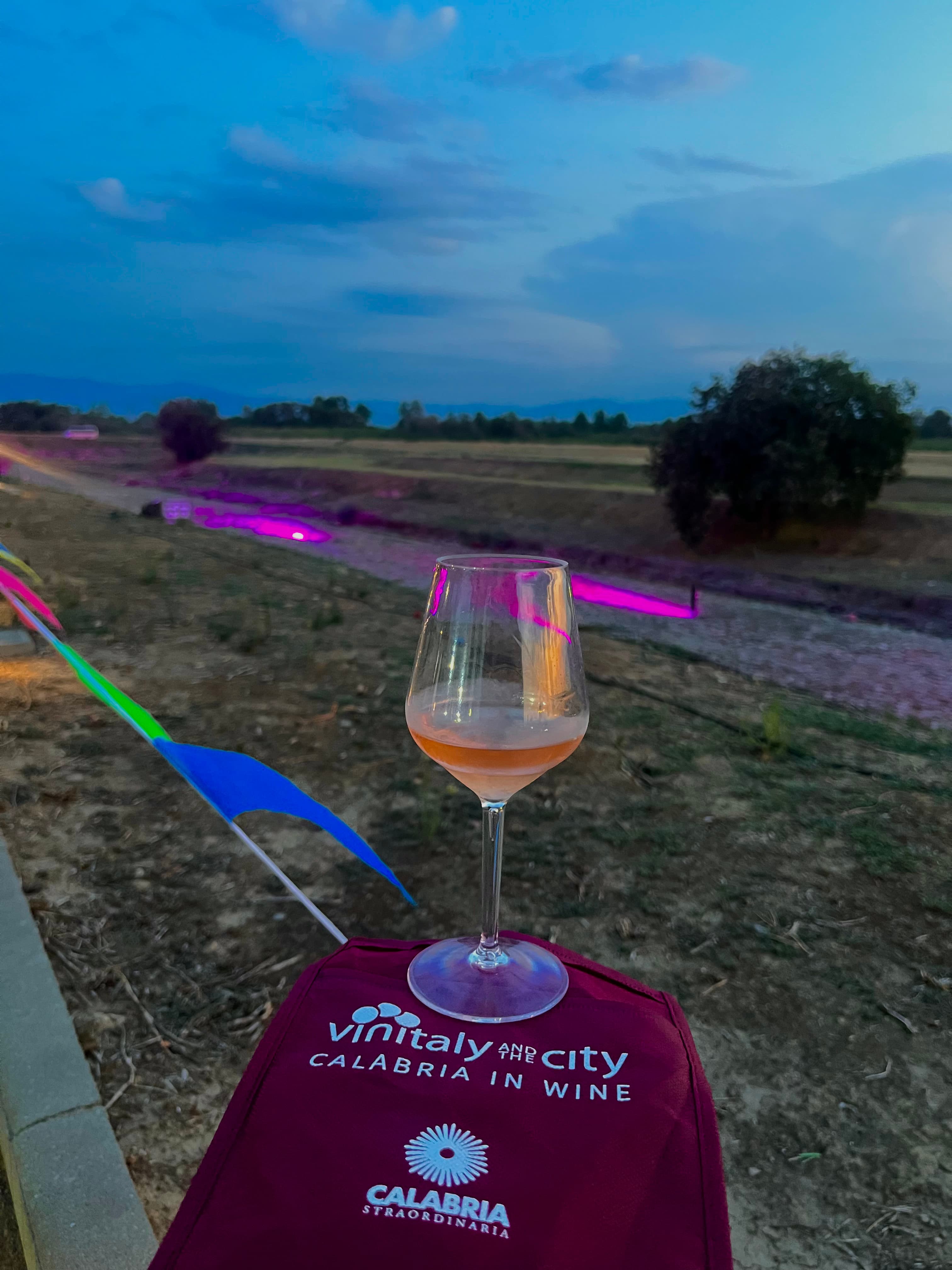 Vinitaly and the City - immagine 1