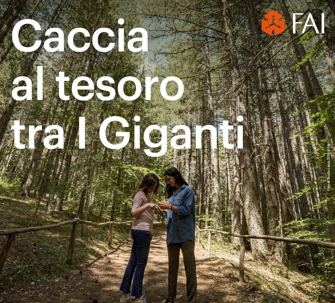 Caccia al Tesoro tra i Giganti della Sila