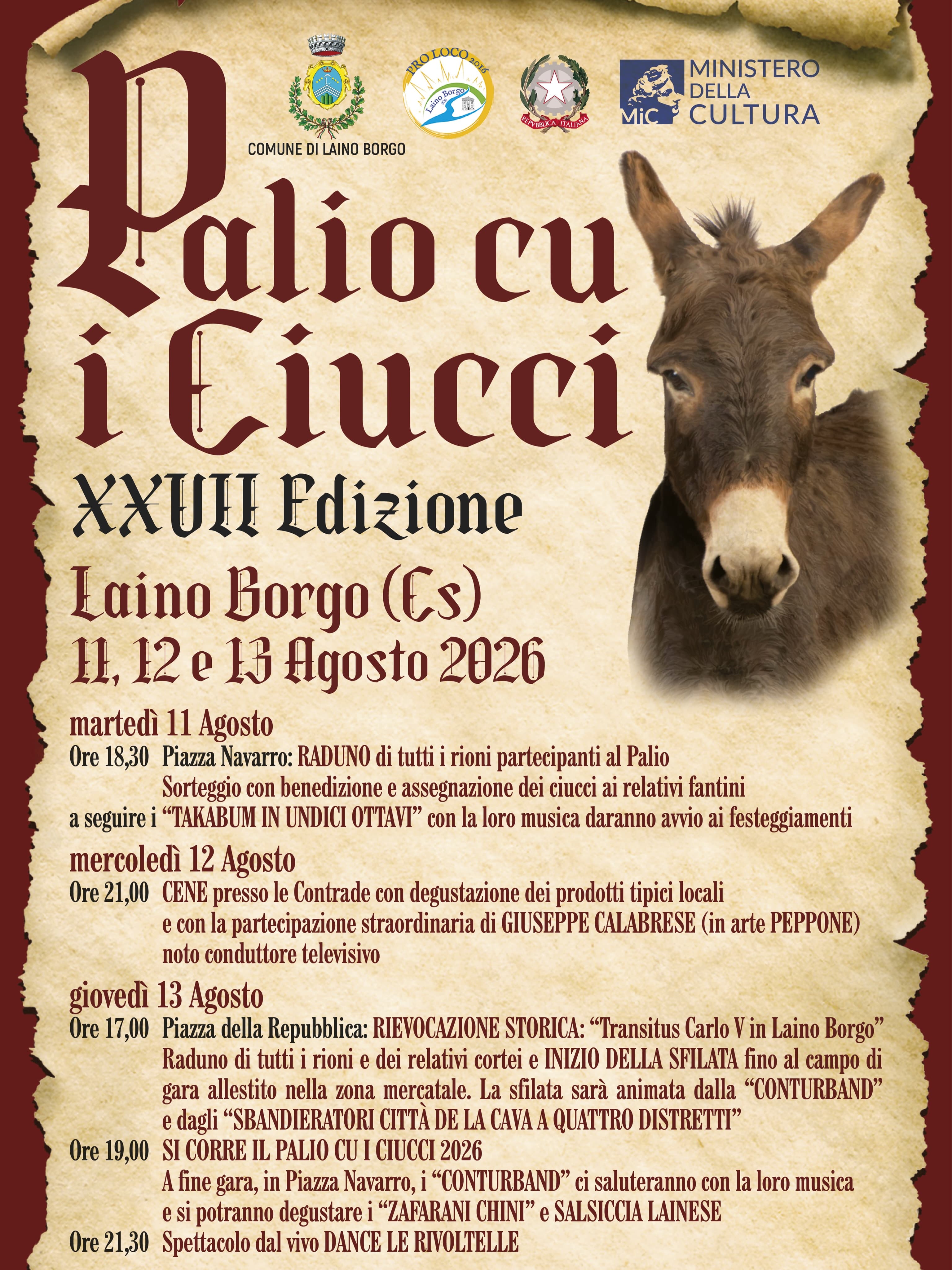 Palio cu i Ciucci - immagine 1