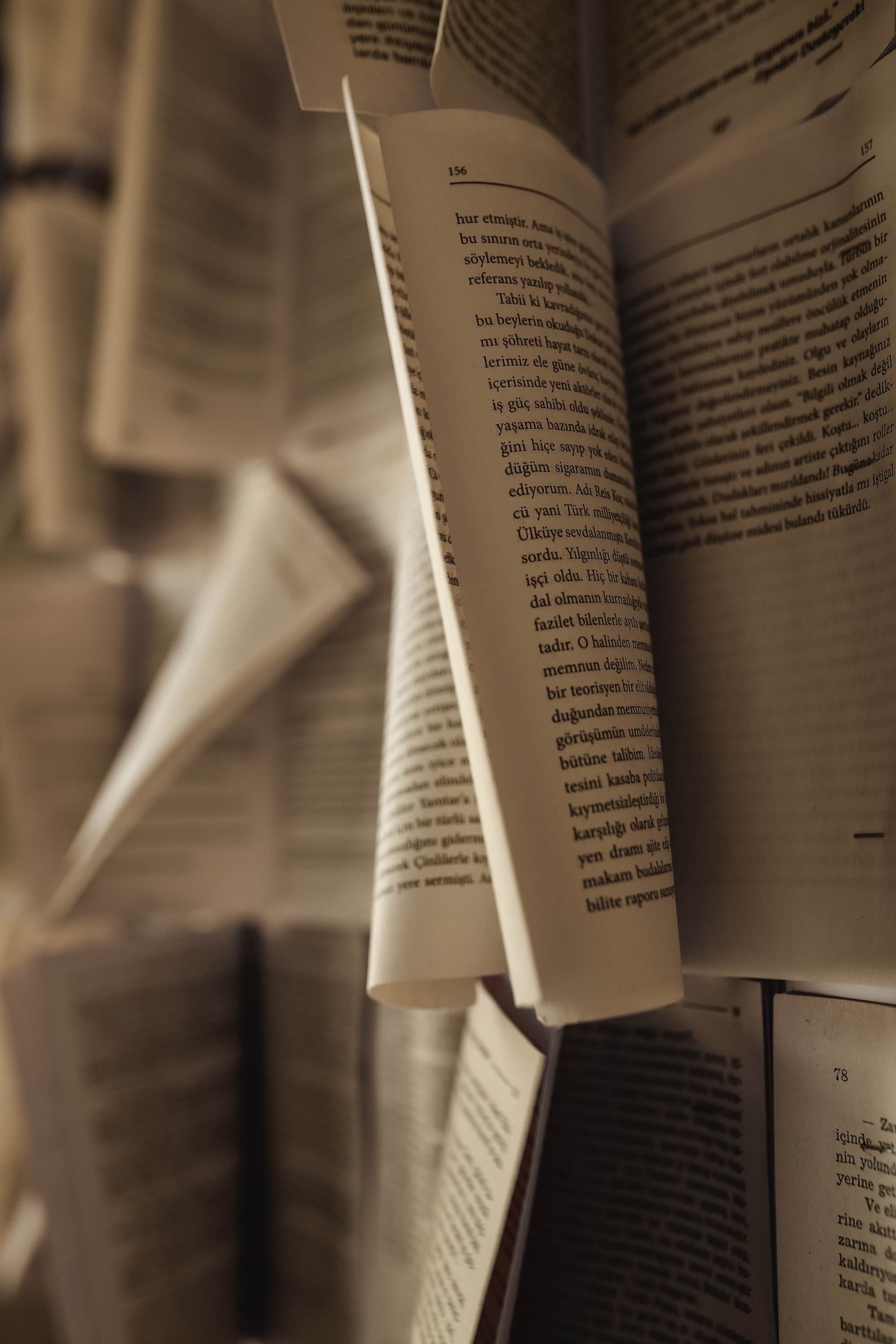 Biblioteca Fuori Porta  - immagine 1