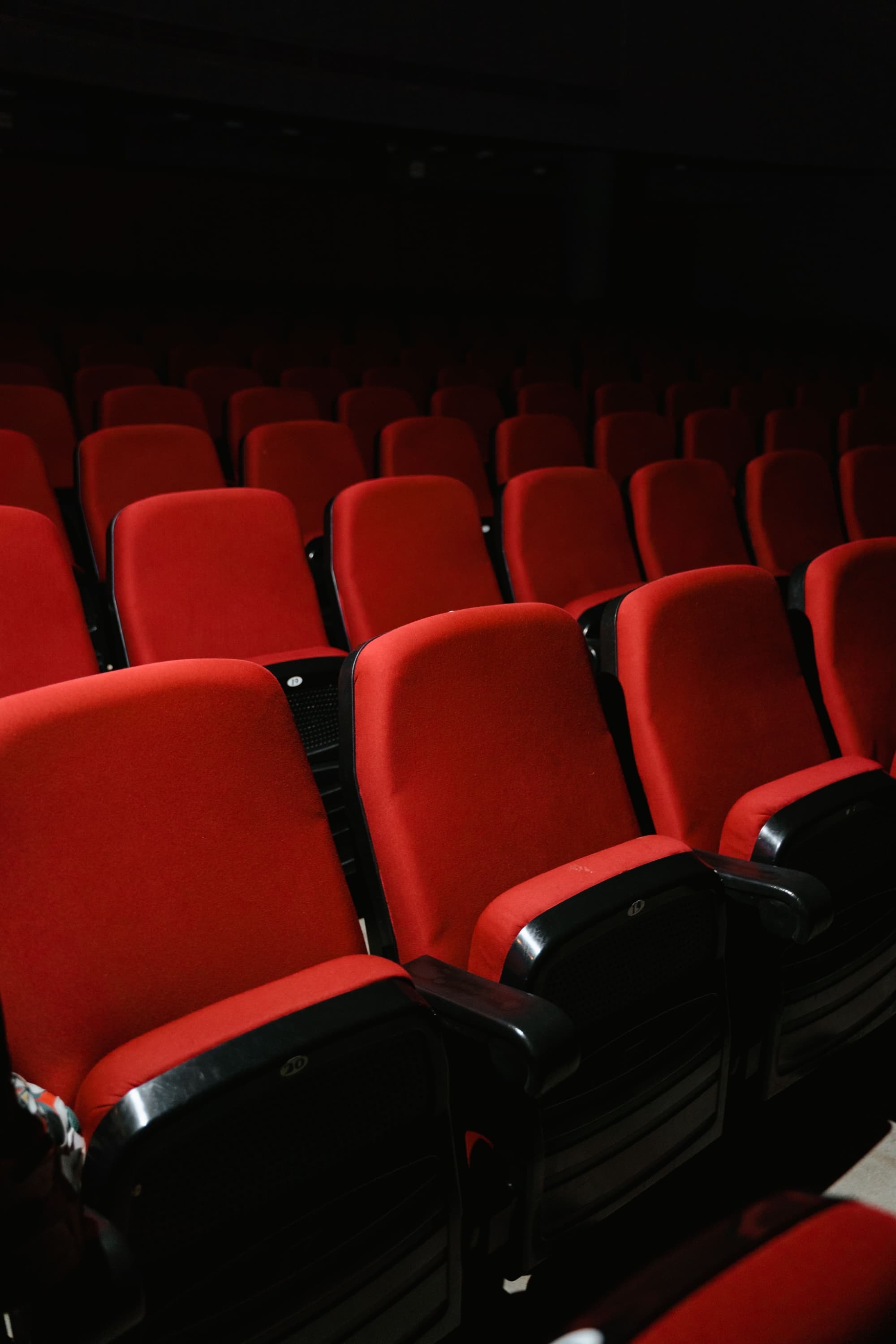 È tutto un cine 3 - immagine 1