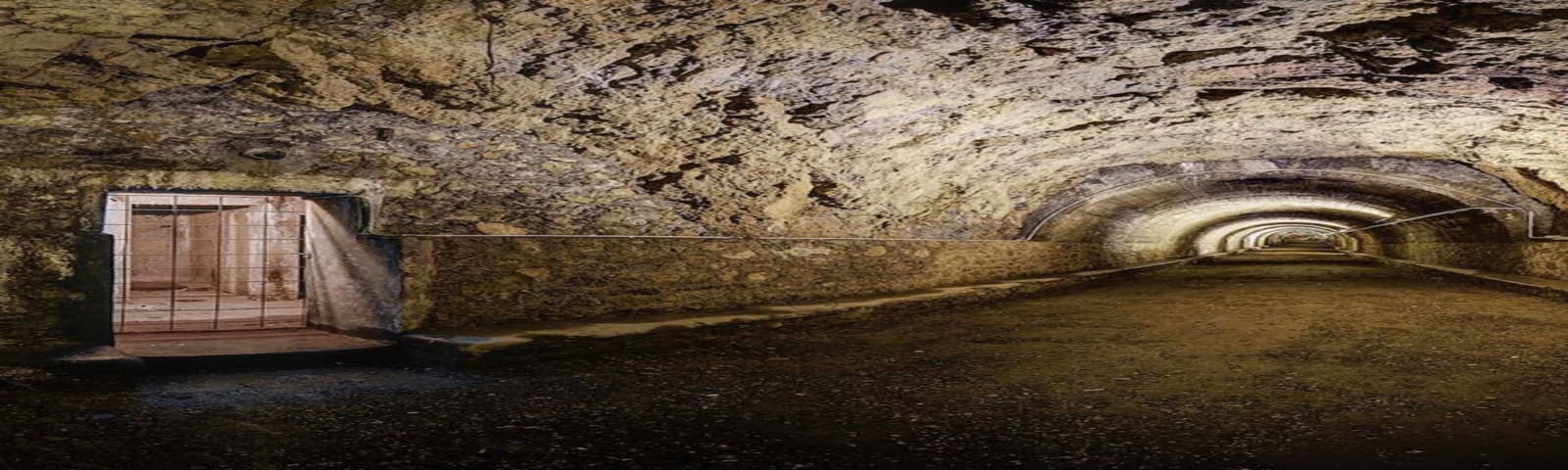 Apertura straordinaria del RAM  - immagine 1