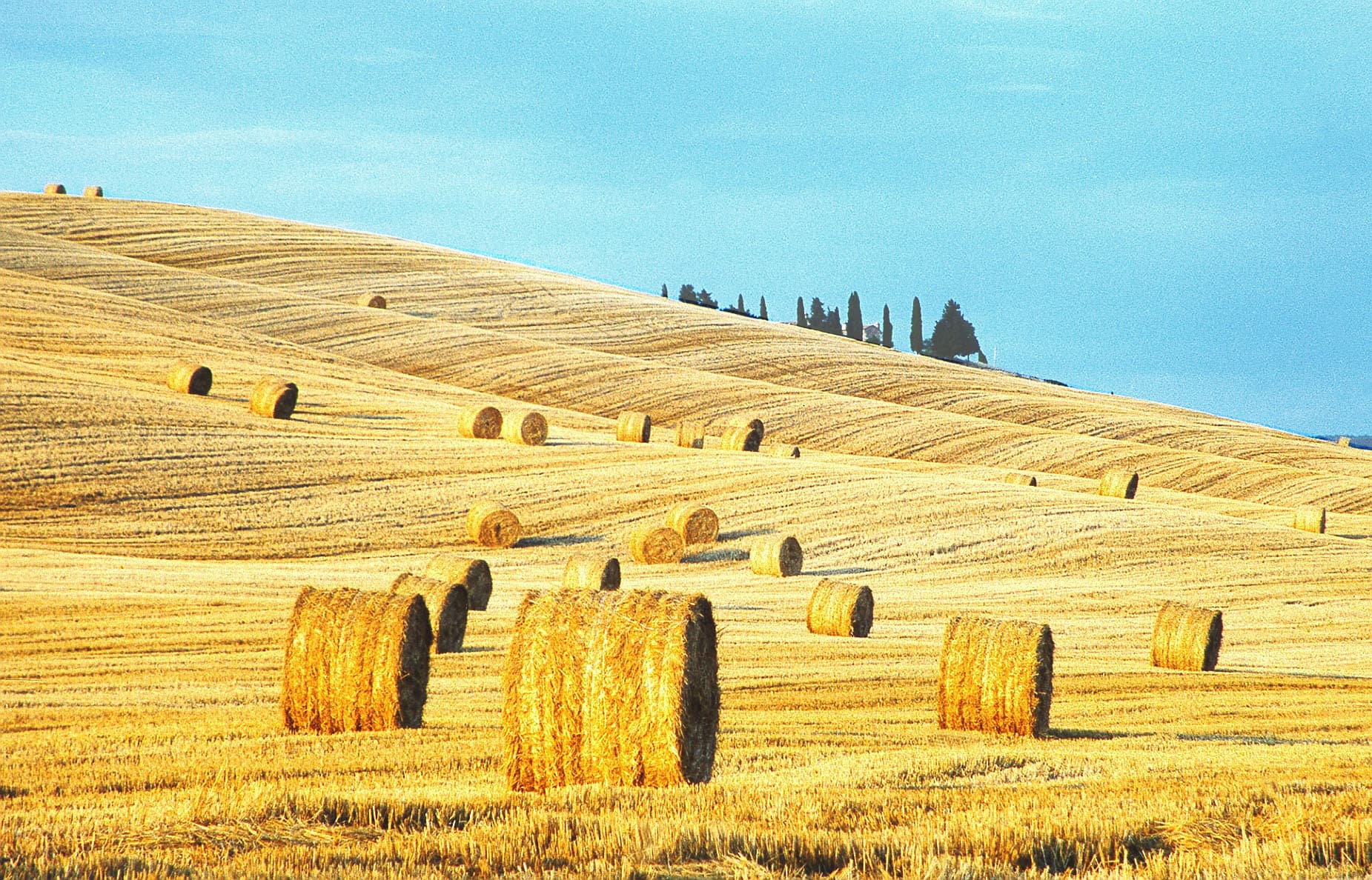 Paesaggi Musicali Toscani