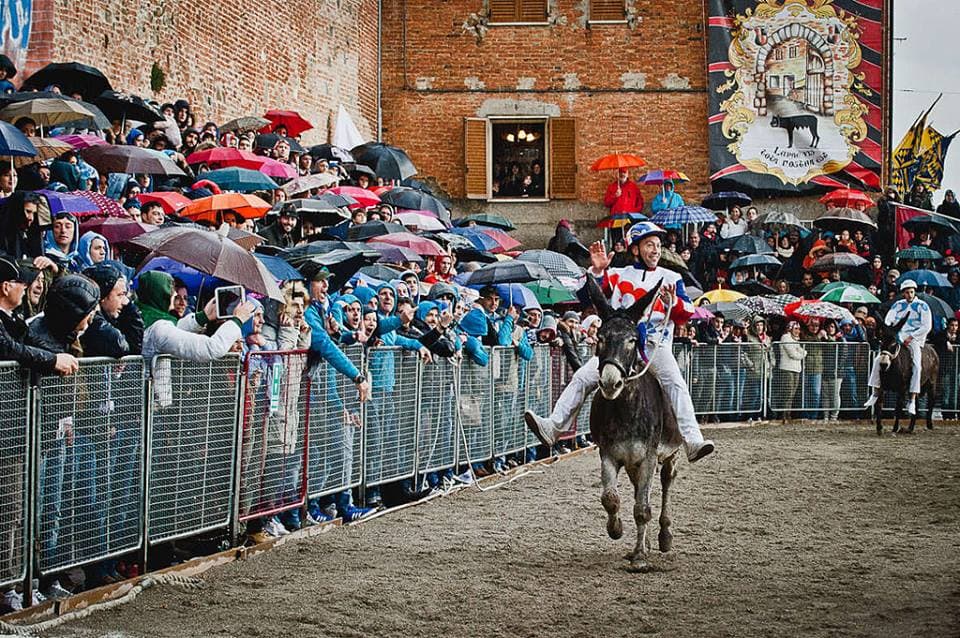 Il Palio dei Somari - immagine 1