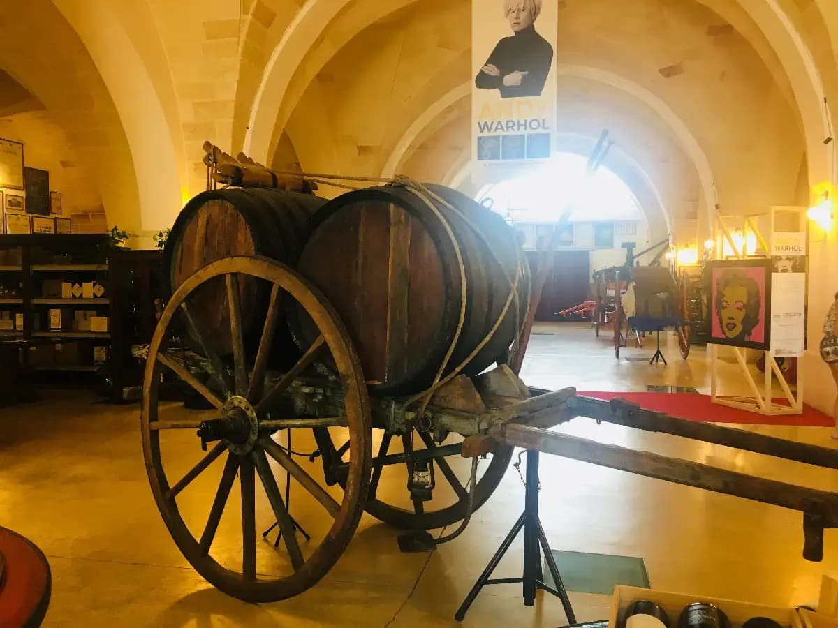Tour dei vini Primitivo e Negroamaro: visita a 2 cantine e pranzo tipico - immagine 1